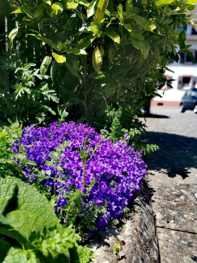 Ferienwohnung Lavanda Rust Esterno foto