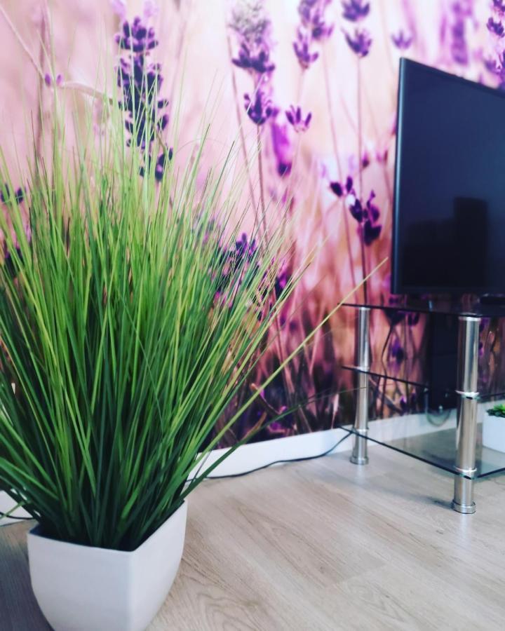Ferienwohnung Lavanda Rust Esterno foto