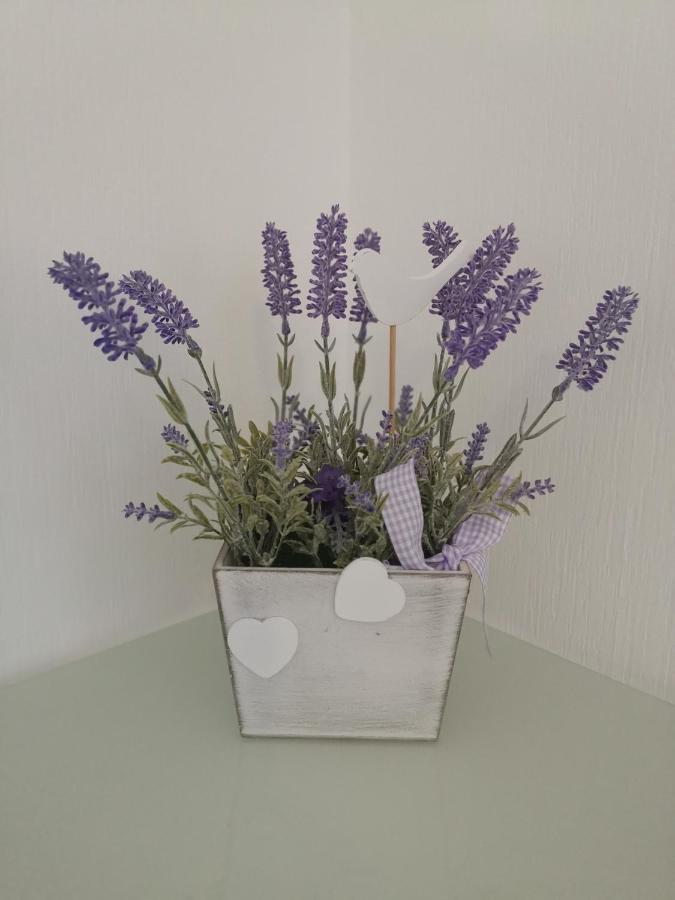 Ferienwohnung Lavanda Rust Esterno foto